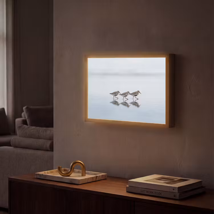 Vogels - Water - Grijs Light Box met batterij (Wandlamp) middel -sfeer1
