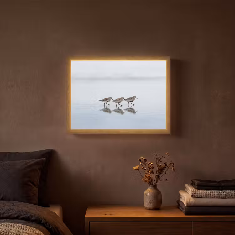 Vogels - Water - Grijs Light Box met batterij (Wandlamp) middel -sfeer4