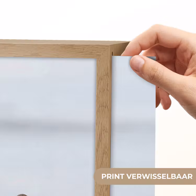 Vogels - Water - Grijs Light Box met batterij (Wandlamp) middel -USP_websiteprintNL