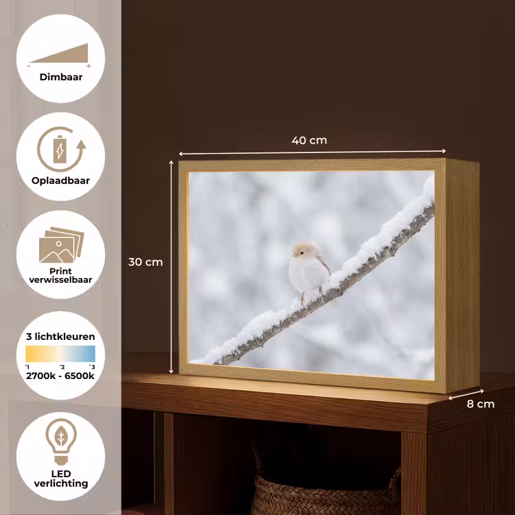 Vogeltje - Sneeuw - Tak - Winter - Zacht Light Box met batterij (Wandlamp) middel -USP_websiteoverzichtNL