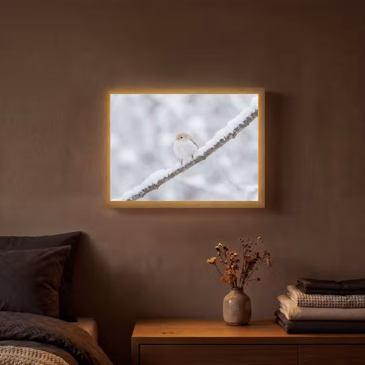 Vogeltje - Sneeuw - Tak - Winter - Zacht Light Box met batterij (Wandlamp) middel -sfeer4
