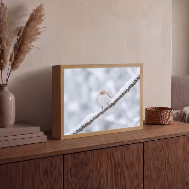 Vogeltje - Sneeuw - Tak - Winter - Zacht Light Box met batterij (Wandlamp) middel -sfeer2
