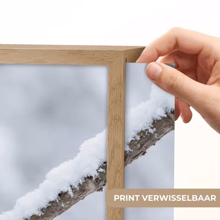 Vogeltje - Sneeuw - Tak - Winter - Zacht Light Box met batterij (Wandlamp) middel -USP_websiteprintNL