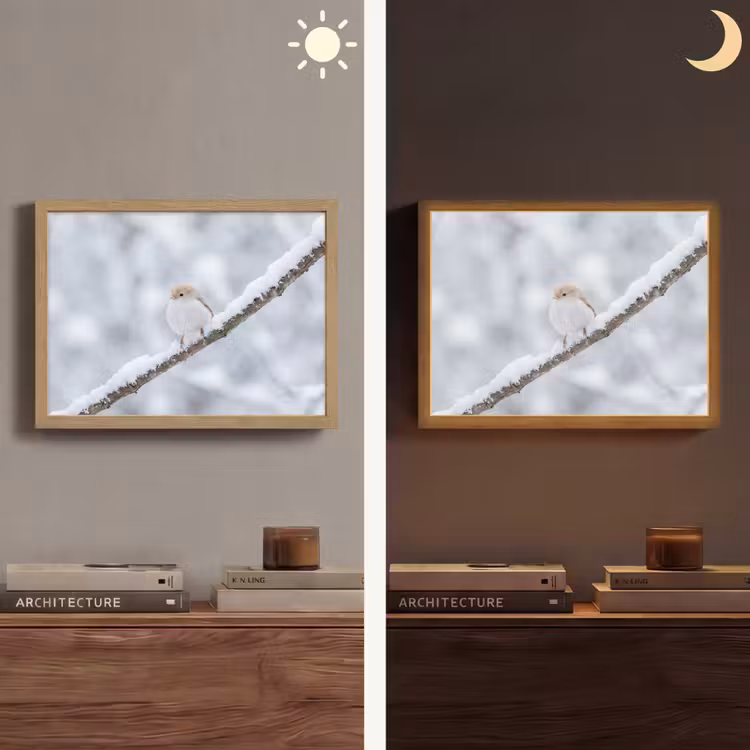 Vogeltje - Sneeuw - Tak - Winter - Zacht Light Box met batterij (Wandlamp) middel -sfeer3