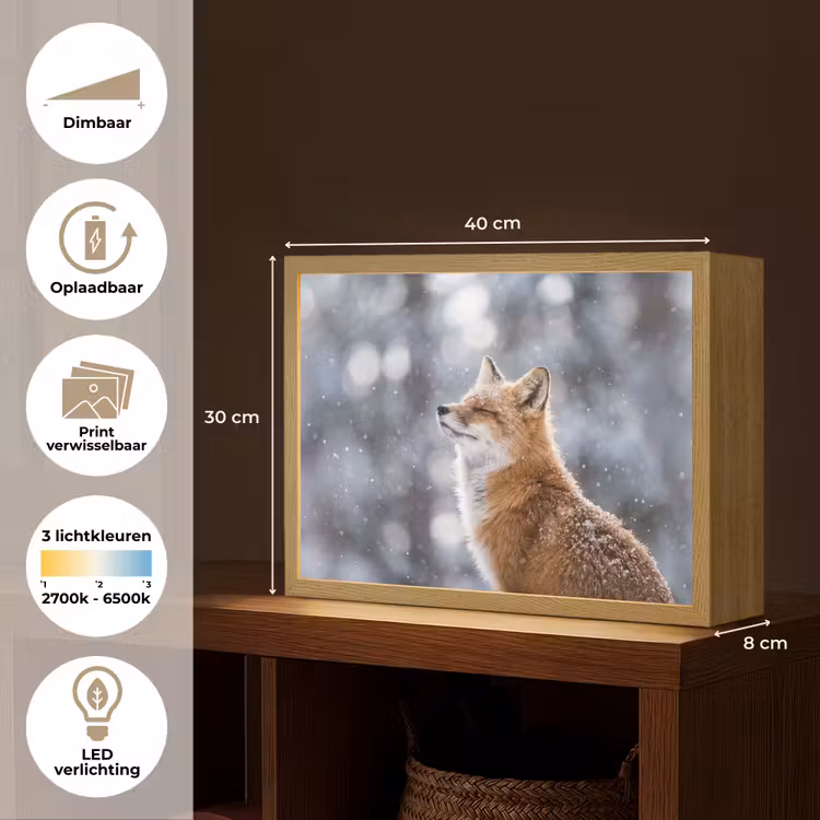 Vos - Sneeuwval - Portret - Winter - Sfeervol Light Box met batterij (Wandlamp) middel -USP_websiteoverzichtNL