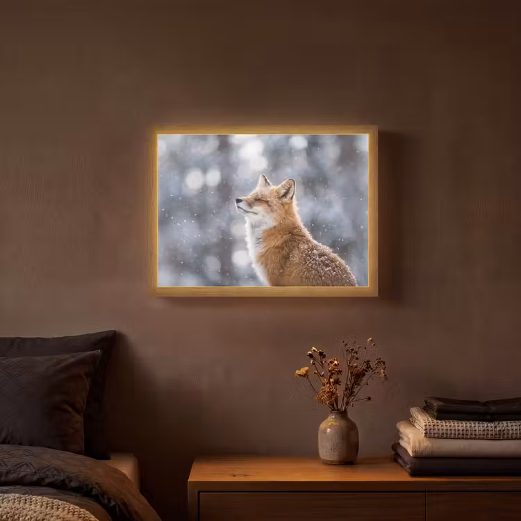 Vos - Sneeuwval - Portret - Winter - Sfeervol Light Box met batterij (Wandlamp) middel -sfeer4