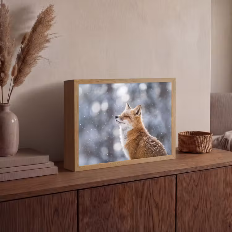 Vos - Sneeuwval - Portret - Winter - Sfeervol Light Box met batterij (Wandlamp) middel -sfeer2