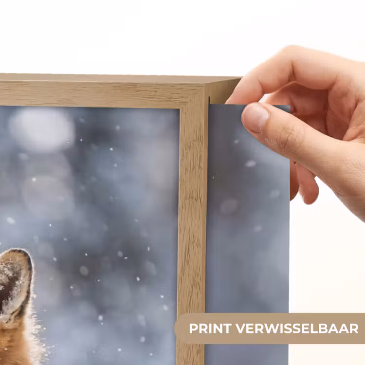 Vos - Sneeuwval - Portret - Winter - Sfeervol Light Box met batterij (Wandlamp) middel -USP_websiteprintNL