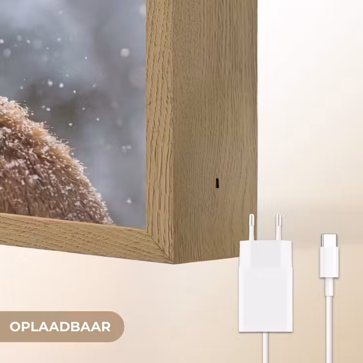 Vos - Sneeuwval - Portret - Winter - Sfeervol Light Box met batterij (Wandlamp) middel -USP_websiteoplaadbaarNL