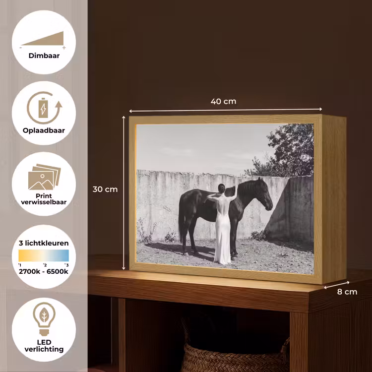 Vrouw - Paard - Artistiek Light Box met batterij (Wandlamp) middel -USP_websiteoverzichtNL
