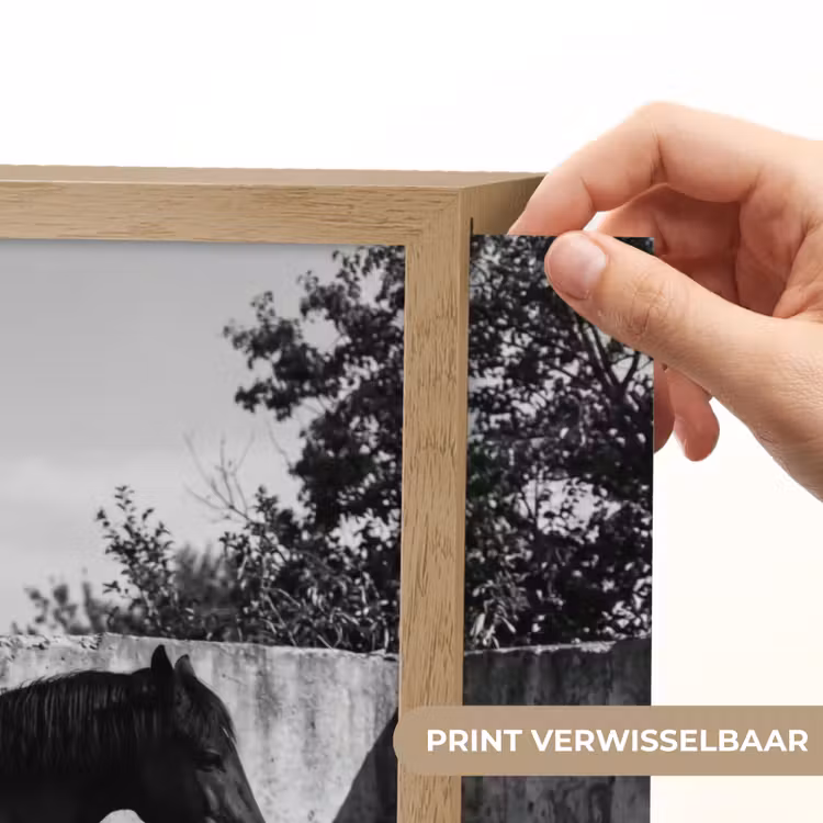 Vrouw - Paard - Artistiek Light Box met batterij (Wandlamp) middel -USP_websiteprintNL