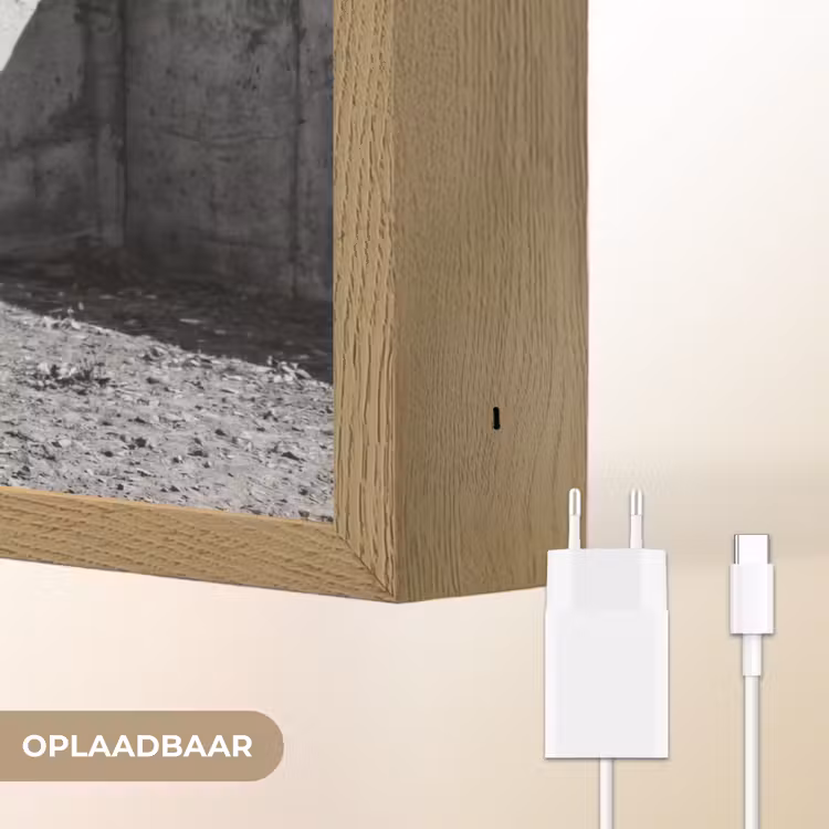 Vrouw - Paard - Artistiek Light Box met batterij (Wandlamp) middel -USP_websiteoplaadbaarNL