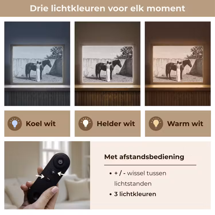 Vrouw - Paard - Artistiek Light Box met batterij (Wandlamp) middel -USP_lichtkleurNL