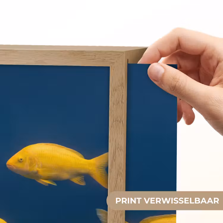 Vrouw - Vis - Water - Natuur - Geel Light Box met batterij (Wandlamp) middel -USP_websiteprintNL