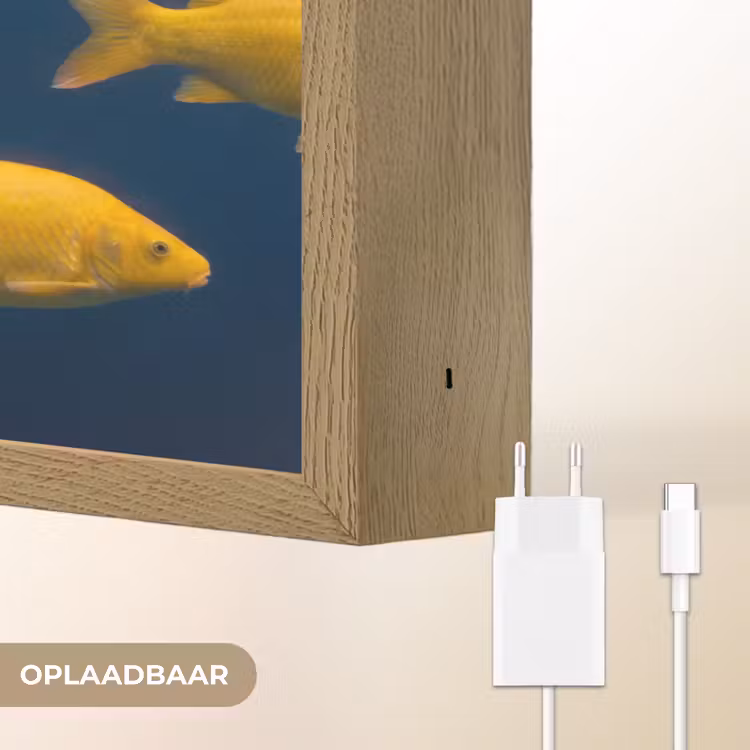 Vrouw - Vis - Water - Natuur - Geel Light Box met batterij (Wandlamp) middel -USP_websiteoplaadbaarNL