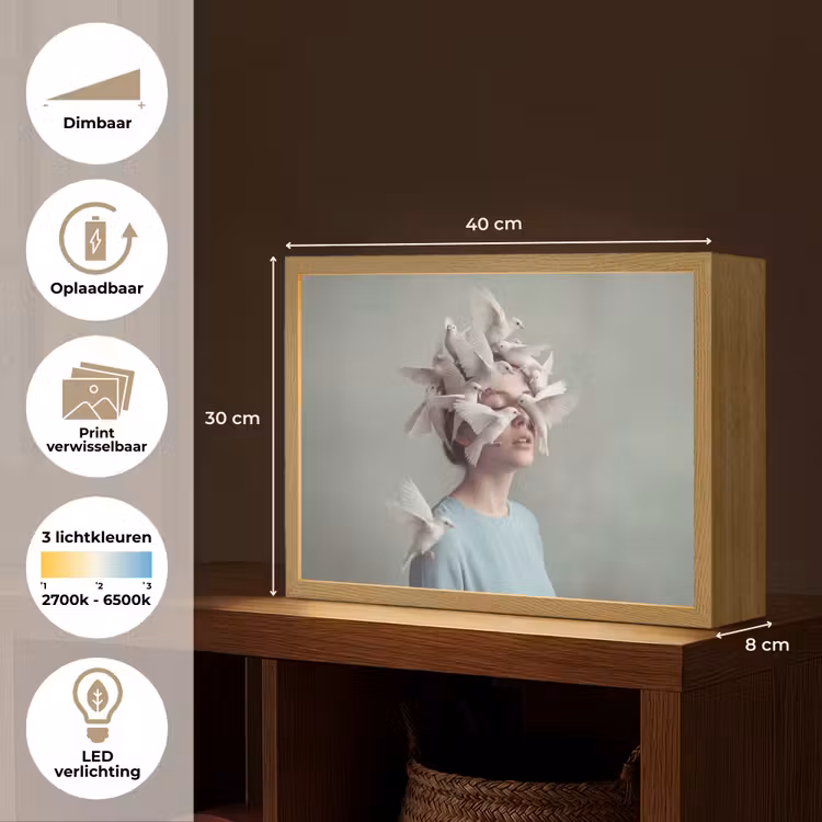 Vrouw - Vogels - Abstract - Modern - Wit Light Box met batterij (Wandlamp) middel -USP_websiteoverzichtNL