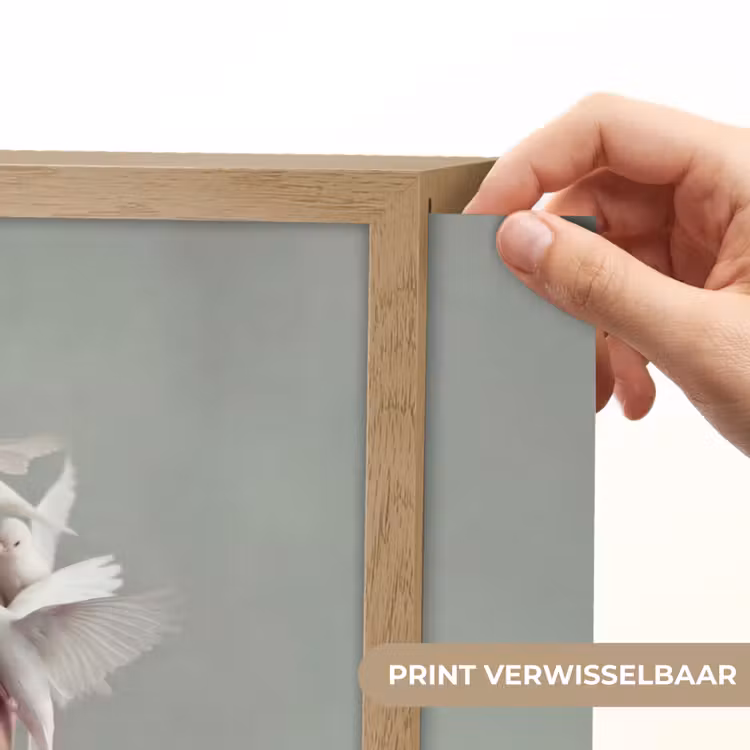 Vrouw - Vogels - Abstract - Modern - Wit Light Box met batterij (Wandlamp) middel -USP_websiteprintNL
