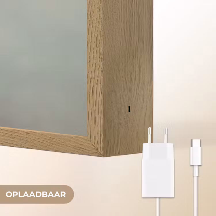 Vrouw - Vogels - Abstract - Modern - Wit Light Box met batterij (Wandlamp) middel -USP_websiteoplaadbaarNL