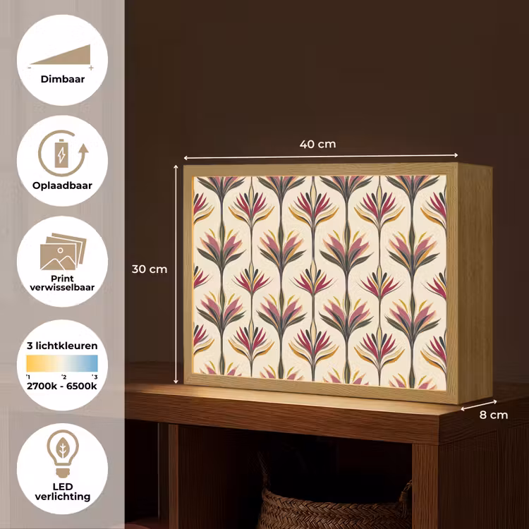 Waaier - Motief - Kleurrijk Light Box met batterij (Wandlamp) middel 907 -USP_websiteoverzichtNL