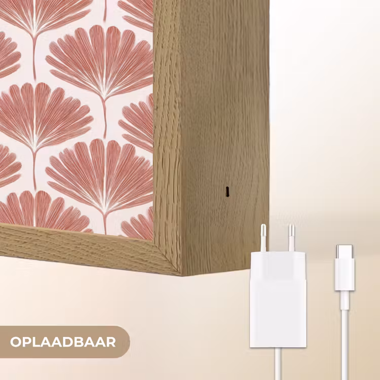 Waaier - Motief - Terra Light Box met batterij (Wandlamp) middel 907 -USP_websiteoplaadbaarNL