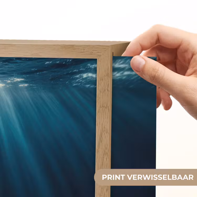 Walvis - Water - Zonnestralen - Blauw Light Box met batterij (Wandlamp) middel -USP_websiteprintNL