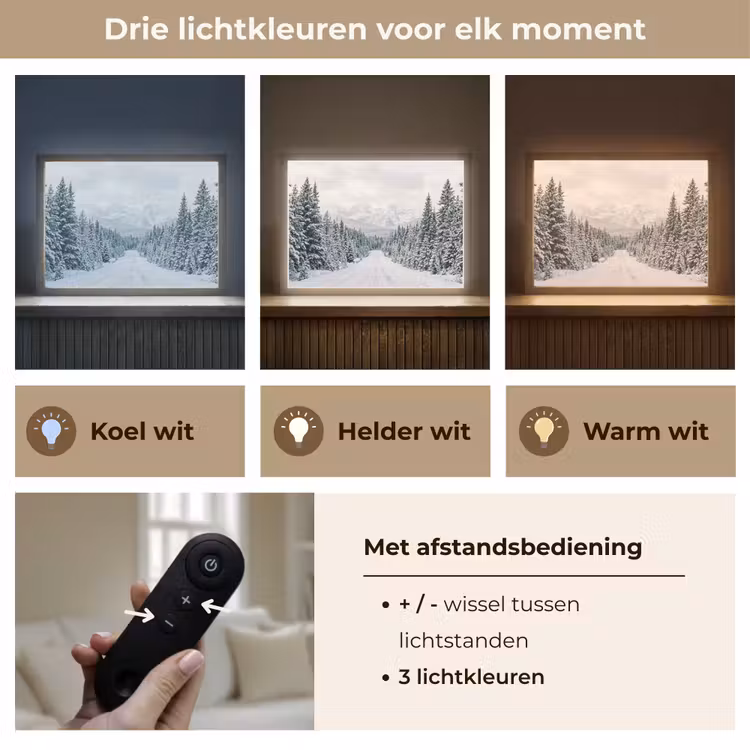 Weg - Sneeuw - Naaldbos - Winter - Avontuurlijk Light Box met batterij (Wandlamp) middel -USP_lichtkleurNL