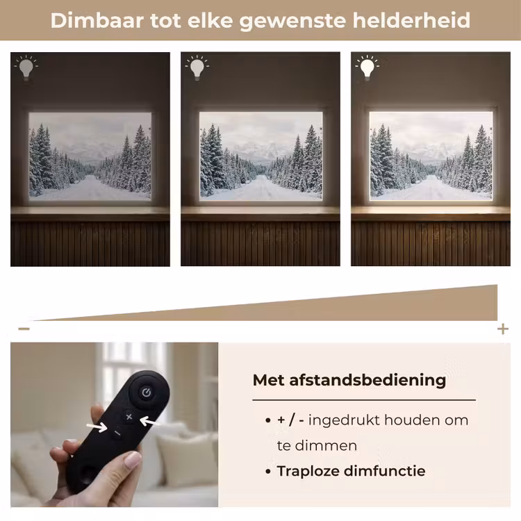 Weg - Sneeuw - Naaldbos - Winter - Avontuurlijk Light Box met batterij (Wandlamp) middel -USP_dimbaarNL