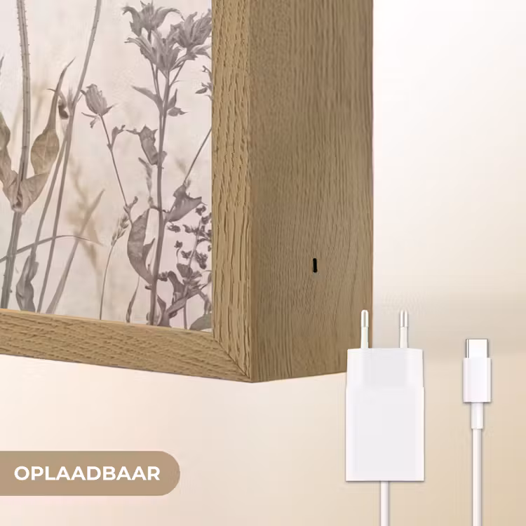 Weidebloemen - Design - Sepia Light Box met batterij (Wandlamp) middel -USP_websiteoplaadbaarNL