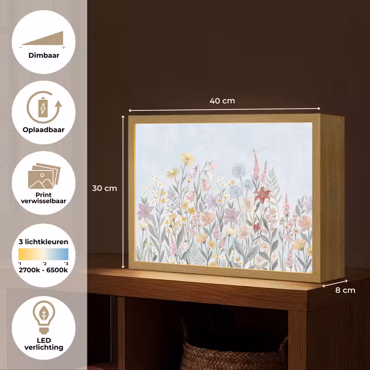 Weidebloemen - Illustratie - Kleurrijk Light Box met batterij (Wandlamp) middel -USP_websiteoverzichtNL