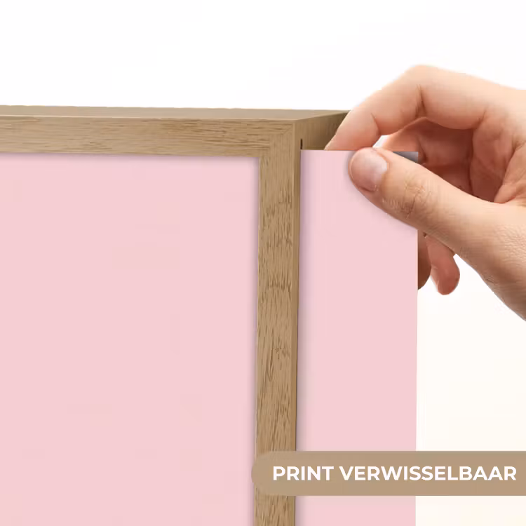 Why not - Bliksem - Roze Light Box met batterij (Wandlamp) middel -USP_websiteprintNL