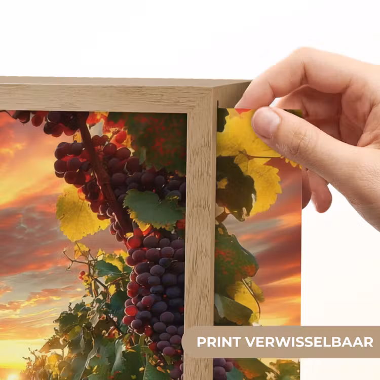 Wijngaard - Druiven - Zonsondergang Light Box met batterij (Wandlamp) middel -USP_websiteprintNL