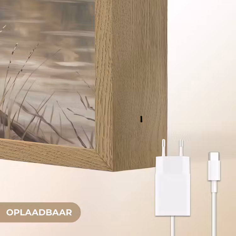 Winterkoninkje - Tak - Rivier - Natuur - Sfeervol Light Box met batterij (Wandlamp) middel -USP_websiteoplaadbaarNL