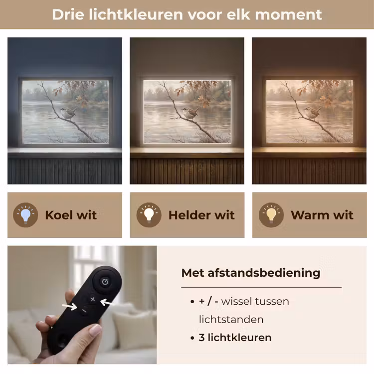 Winterkoninkje - Tak - Rivier - Natuur - Sfeervol Light Box met batterij (Wandlamp) middel -USP_lichtkleurNL