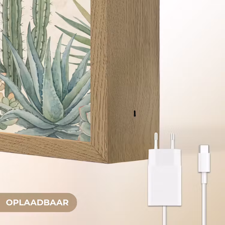 Woestijn - Planten - Groen Light Box met batterij (Wandlamp) middel -USP_websiteoplaadbaarNL