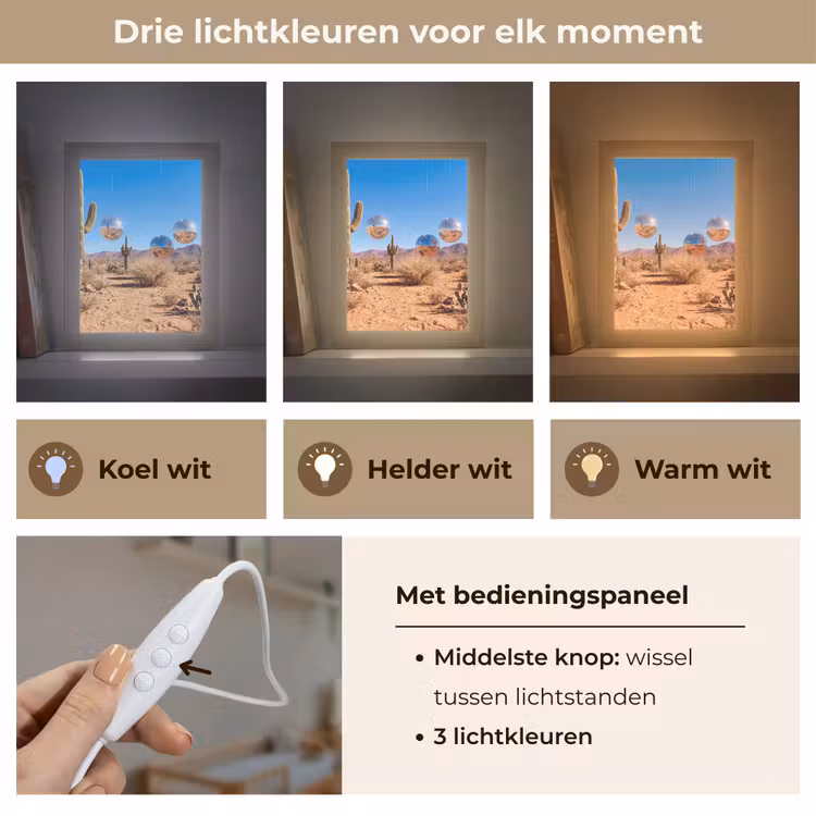 Lightbox - Wandlamp - Woestijn - Spiegelbal - Kunst - Woestijn - Spiegelbal - Kunst Light Box met kabel (Wandlamp) klein