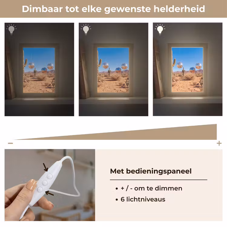 Lightbox - Wandlamp - Woestijn - Spiegelbal - Kunst - Woestijn - Spiegelbal - Kunst Light Box met kabel (Wandlamp) klein