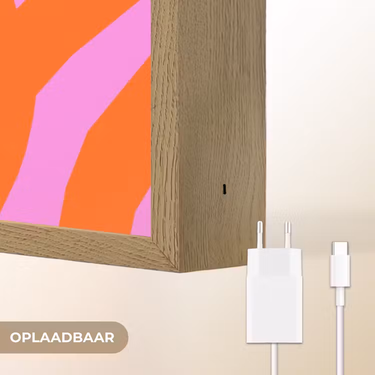 Zebraprint - Grafisch - COOL - Oranje Light Box met batterij (Wandlamp) middel -USP_websiteoplaadbaarNL