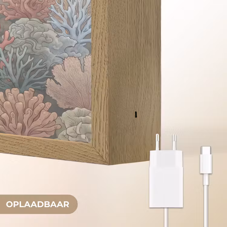 Zee - Koraal - Vis - Natuur - Kleurrijk Light Box met batterij (Wandlamp) middel -USP_websiteoplaadbaarNL
