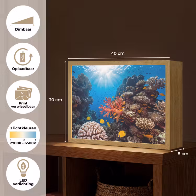 Zee - Koraalrif - Natuur - Levendig - Blauw Light Box met batterij (Wandlamp) middel -USP_websiteoverzichtNL