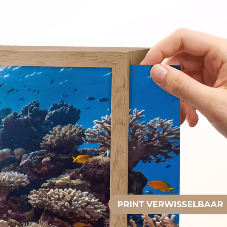 Zee - Koraalrif - Natuur - Levendig - Blauw Light Box met batterij (Wandlamp) middel -USP_websiteprintNL