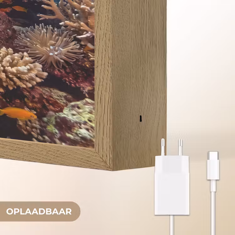 Zee - Koraalrif - Natuur - Levendig - Blauw Light Box met batterij (Wandlamp) middel -USP_websiteoplaadbaarNL