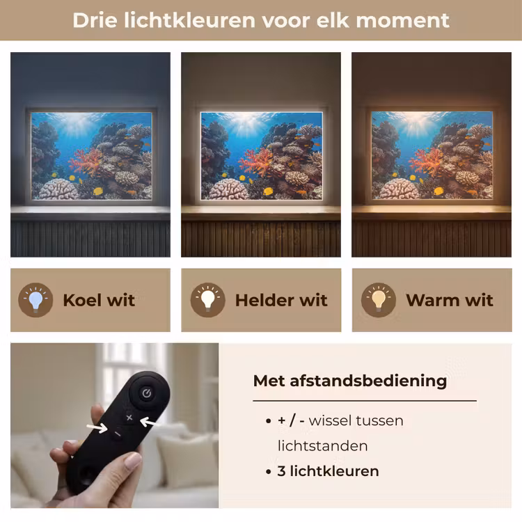 Zee - Koraalrif - Natuur - Levendig - Blauw Light Box met batterij (Wandlamp) middel -USP_lichtkleurNL