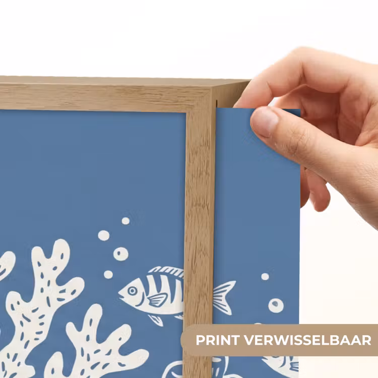 Zeeleven - Koraal - Schelp - Vis - Illustratie - Onderwater Light Box met batterij (Wandlamp) middel -USP_websiteprintNL