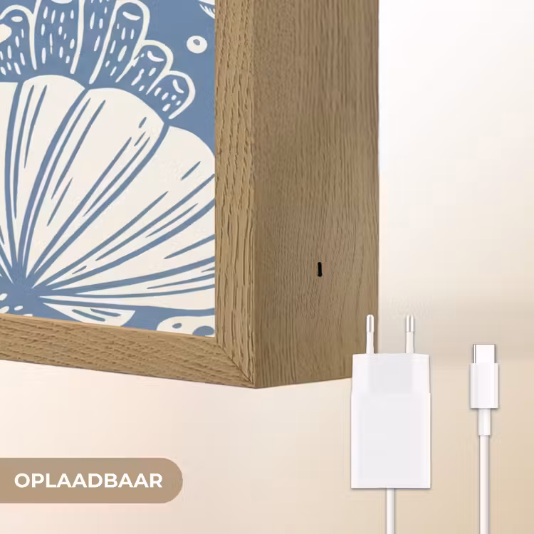 Zeeleven - Koraal - Schelp - Vis - Illustratie - Onderwater Light Box met batterij (Wandlamp) middel -USP_websiteoplaadbaarNL