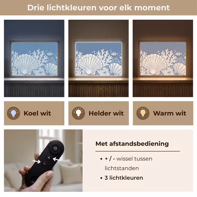Zeeleven - Koraal - Schelp - Vis - Illustratie - Onderwater Light Box met batterij (Wandlamp) middel -USP_lichtkleurNL