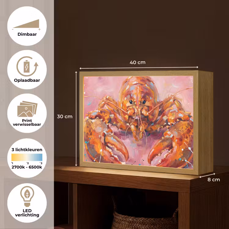 Zeeleven - Kreeft - Spatters - Abstract - Roze Light Box met batterij (Wandlamp) middel -USP_websiteoverzichtNL