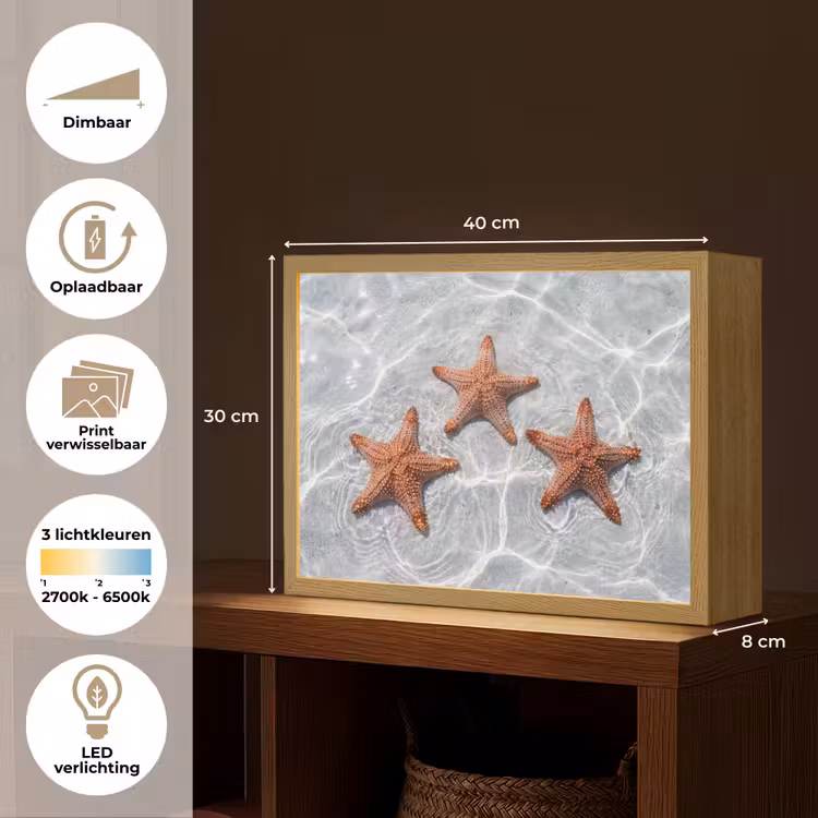 Zeesterren - Water - Helder Light Box met batterij (Wandlamp) middel -USP_websiteoverzichtNL