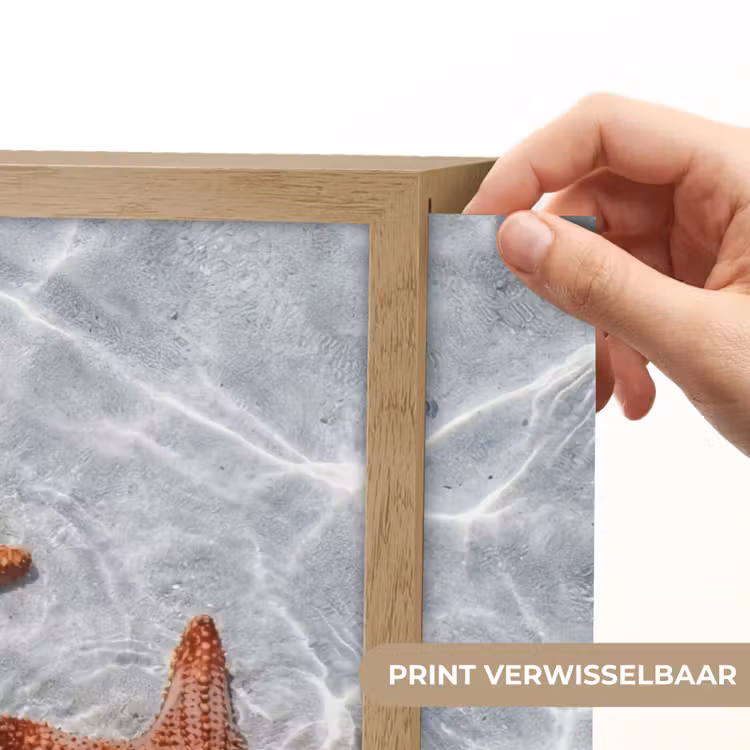 Zeesterren - Water - Helder Light Box met batterij (Wandlamp) middel -USP_websiteprintNL