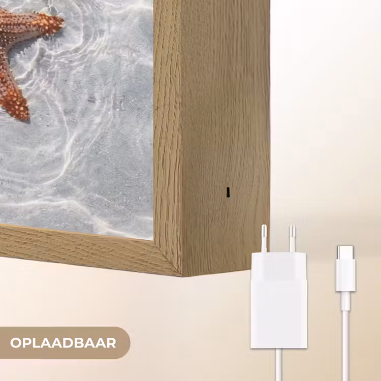 Zeesterren - Water - Helder Light Box met batterij (Wandlamp) middel -USP_websiteoplaadbaarNL