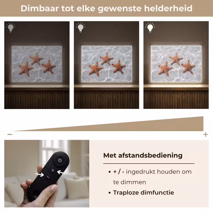 Zeesterren - Water - Helder Light Box met batterij (Wandlamp) middel -USP_dimbaarNL